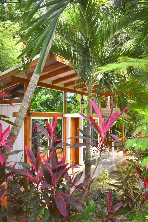 Fuego Lodge Playa Santa Teresa  Luaran gambar